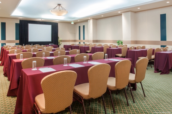 Crowne Plaza HOTEL DE MEXICO